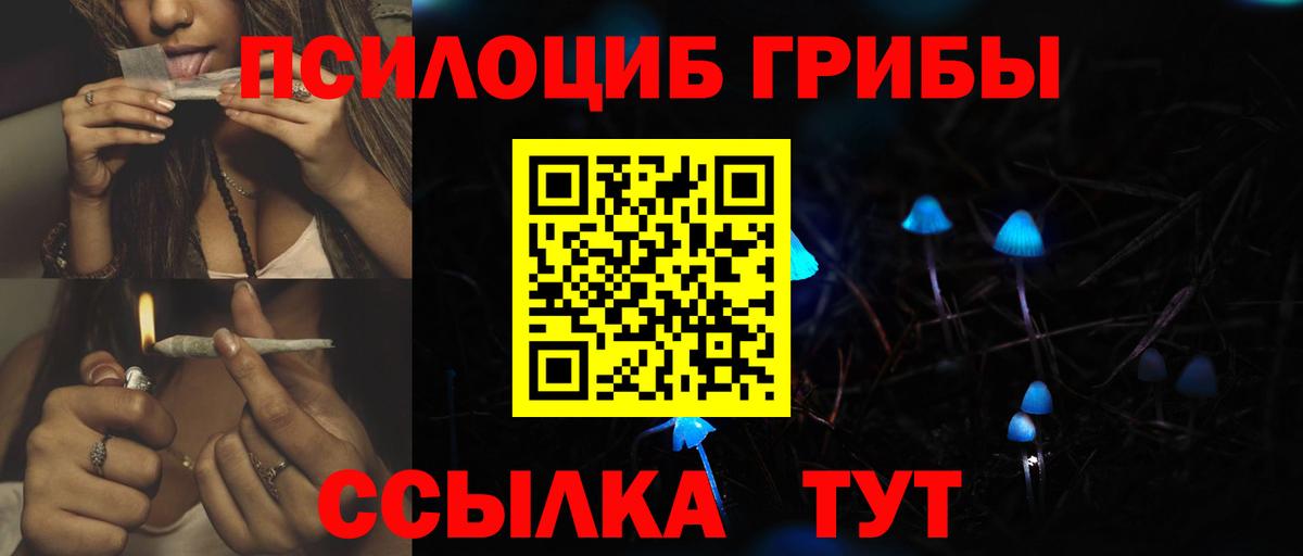 Псилоцибиновые грибы GOLDEN TEACHER  Вход с VPN  Псков 